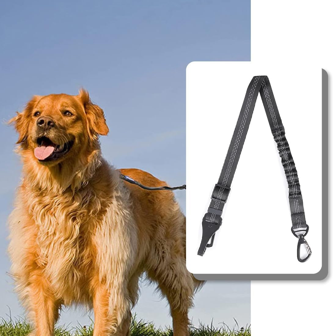 Cinturón de Seguridad para Perros 3 en 1 con Correa Elástica y Mosquetón Resistente - Negro